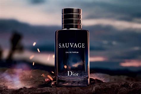 dior sauvage smell description|when to wear dior sauvage.